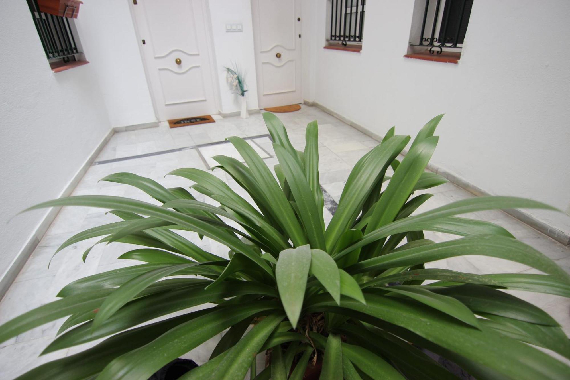 Apartamento Corazon De Triana 塞维利亚 外观 照片